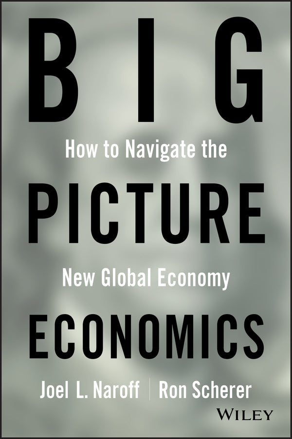 Big Picture Economics; How to Navigate the New Global Economy (Hardback) 9780470641811