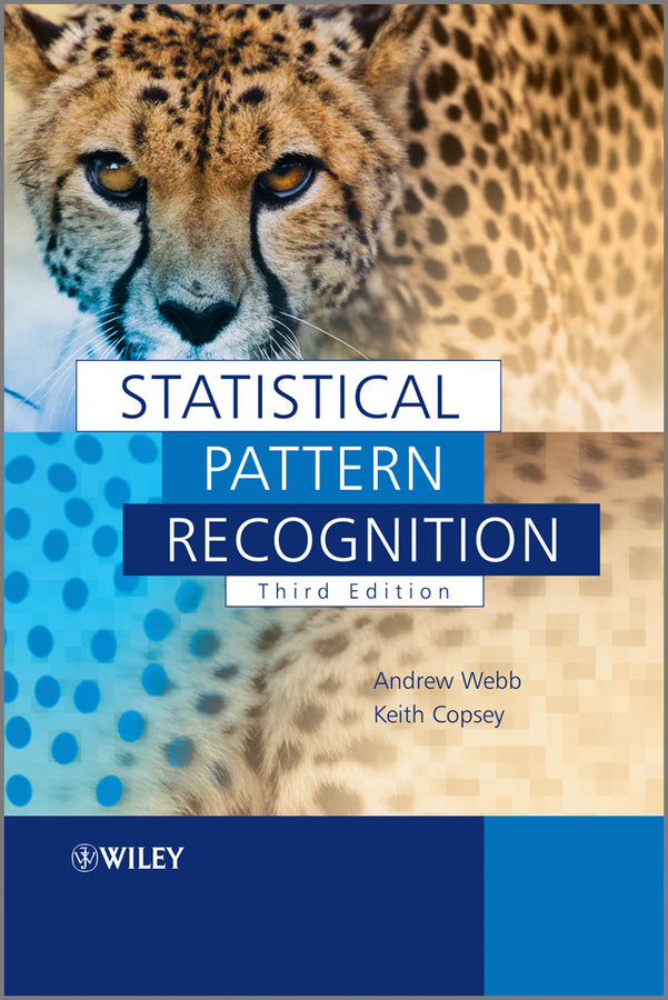 Statistical Pattern Recognition (Paperback / softback) 9780470682289