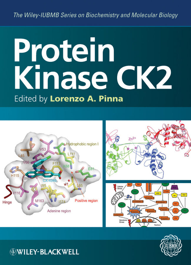 Protein Kinase CK2 (Hardback) 9780470963036