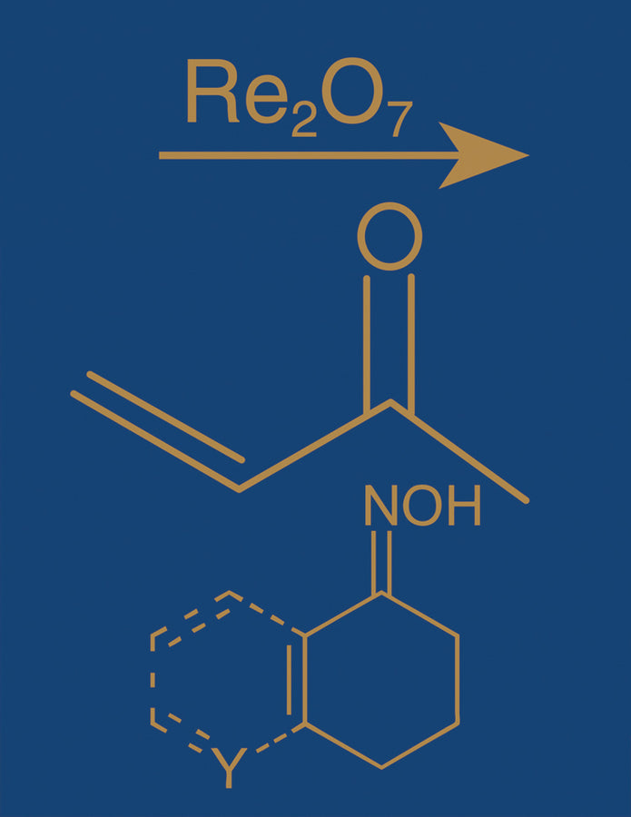 Comprehensive Organic Name Reactions and Reagents, 3 Volume Set (Hardback) 9780471704508