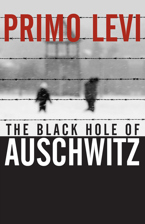 The Black Hole of Auschwitz (Paperback / softback) 9780745632414