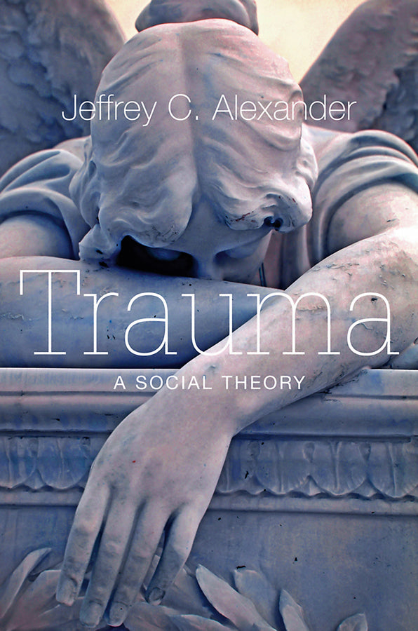 Trauma; A Social Theory (Paperback / softback) 9780745649122