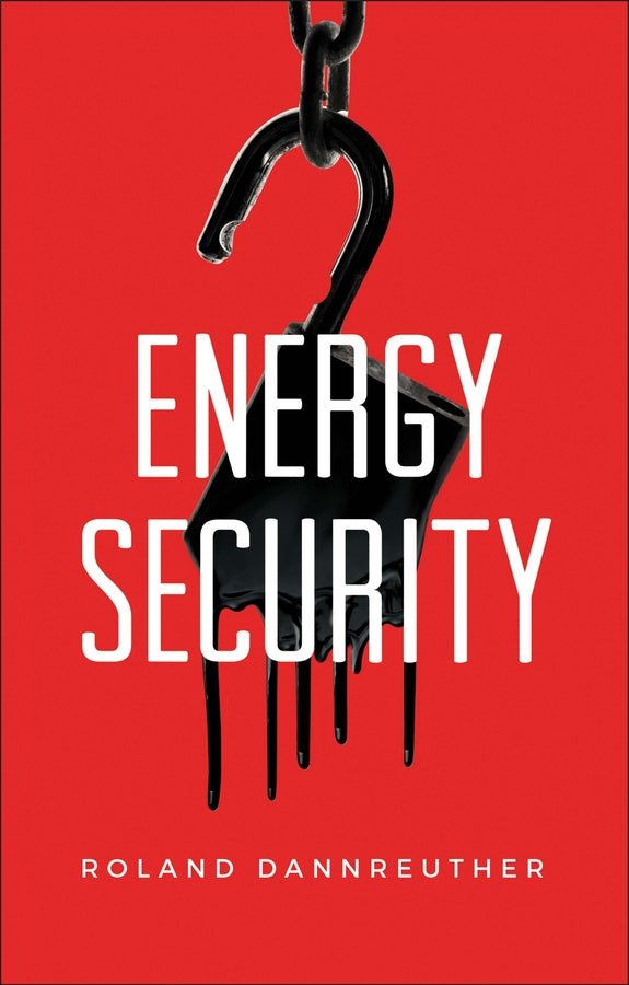 Energy Security (Hardback) 9780745661902