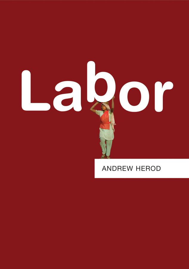 Labor (Paperback / softback) 9780745663876