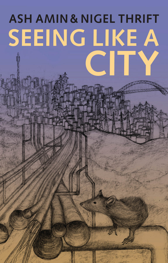 Seeing Like a City (Paperback / softback) 9780745664262