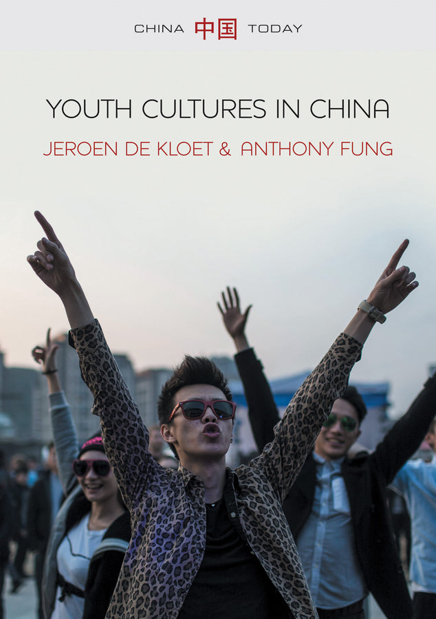 Youth Cultures in China (Paperback / softback) 9780745679181