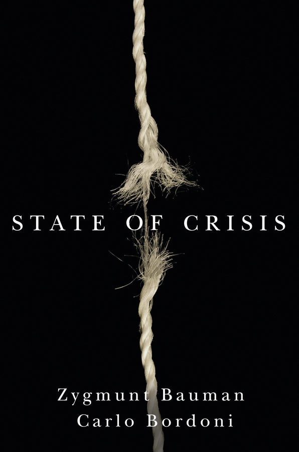 State of Crisis (Paperback / softback) 9780745680958