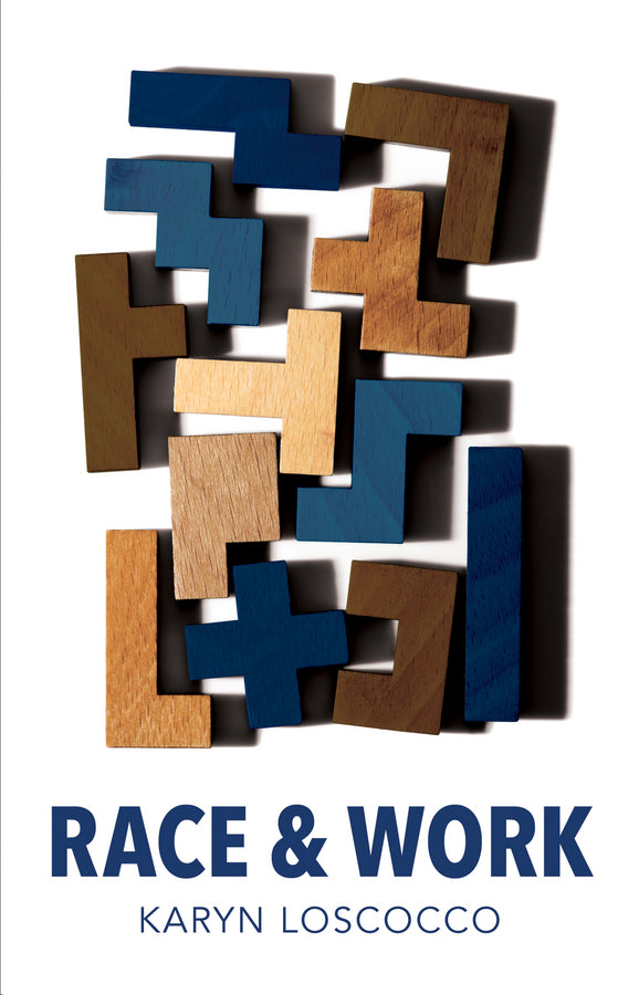 Race and Work (Paperback / softback) 9780745696416