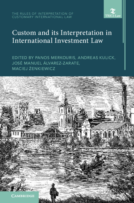 Custom and its Interpretation in International Investment Law: Volume 2 (Hardback) 9781009255424