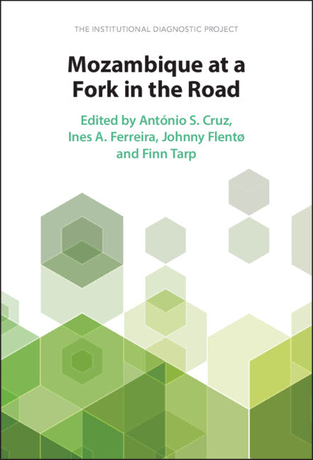 Mozambique at a Fork in the Road; The Institutional Diagnostic Project (Hardback) 9781009265751