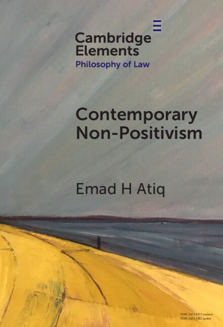 Contemporary Non-Positivism (Hardback) 9781009539128