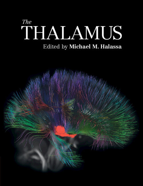 The Thalamus (Paperback / softback) 9781108722933