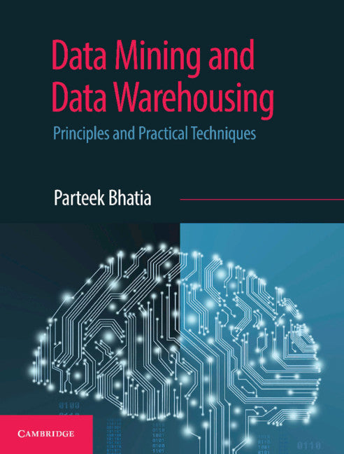 Data Mining and Data Warehousing; Principles and Practical Techniques (Paperback / softback) 9781108727747