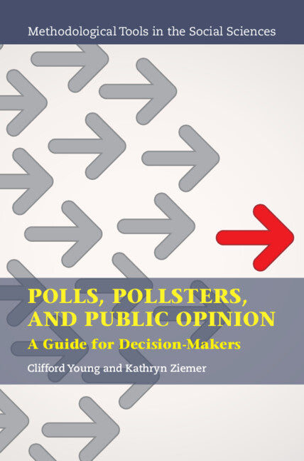 Polls, Pollsters, and Public Opinion; A Guide for Decision-Makers (Paperback / softback) 9781108790000