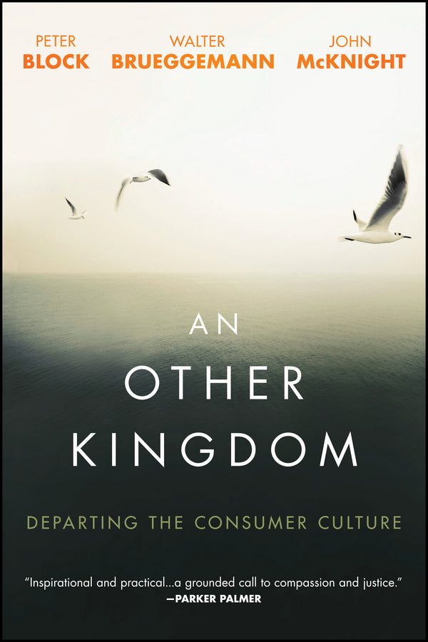An Other Kingdom; Departing the Consumer Culture (Paperback / softback) 9781119194729