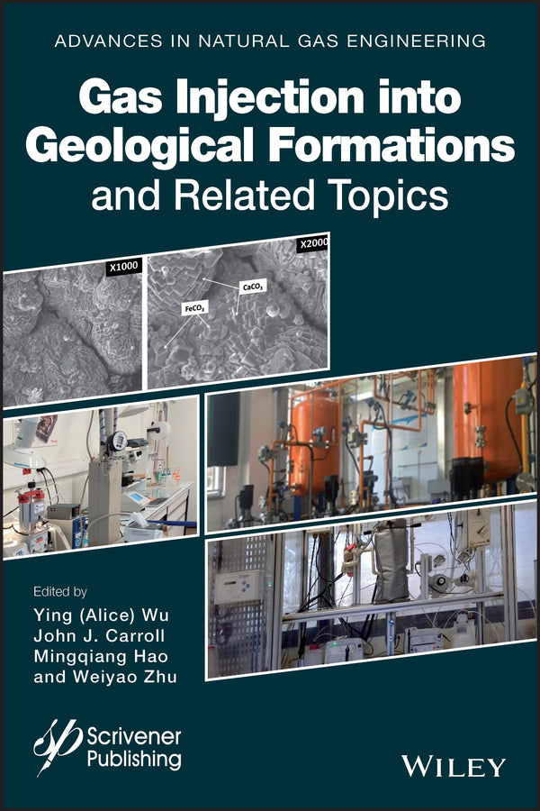 Gas Injection into Geological Formations and Related Topics (Hardback) 9781119592068