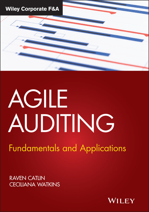 Agile Auditing; Fundamentals and Applications (Hardback) 9781119693321