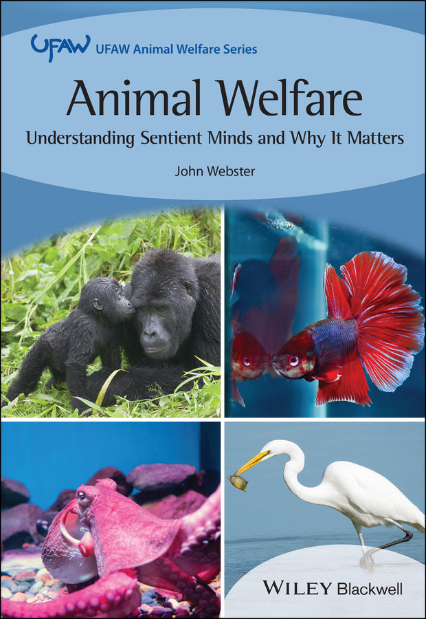Animal Welfare; Understanding Sentient Minds and Why It Matters (Paperback / softback) 9781119857068