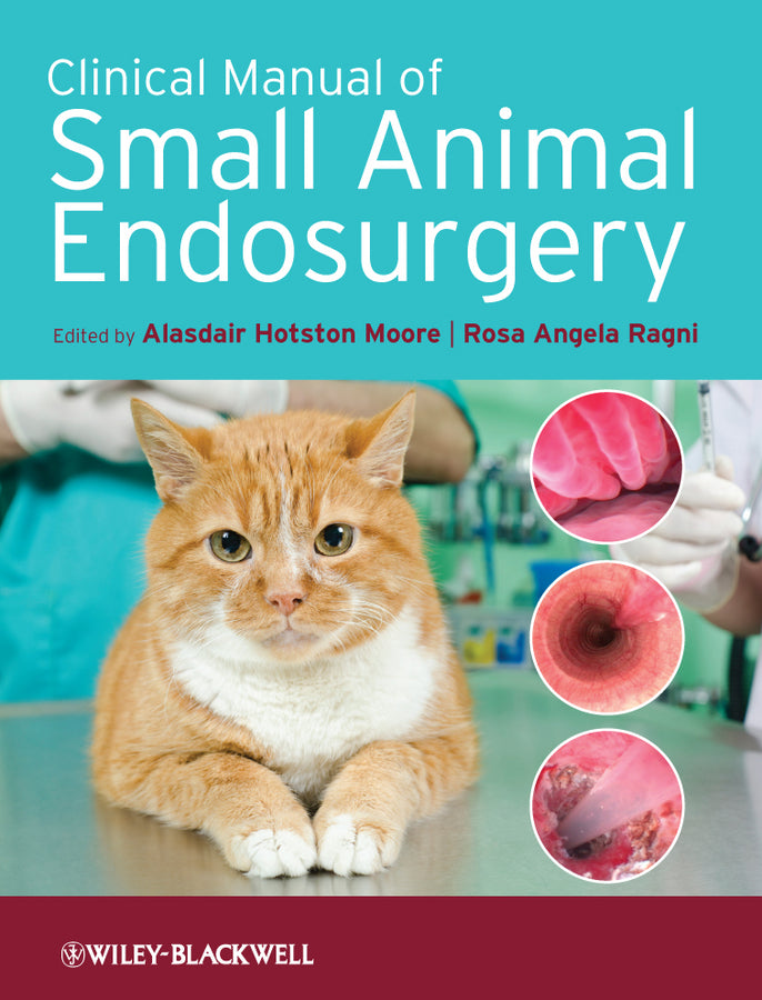 Clinical Manual of Small Animal Endosurgery (Hardback) 9781405190015