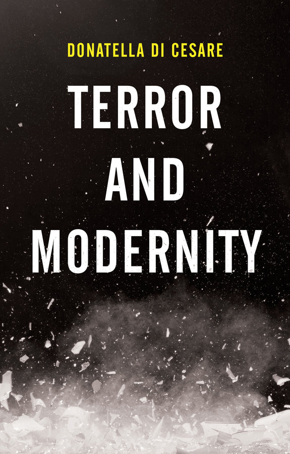 Terror and Modernity (Hardback) 9781509531486