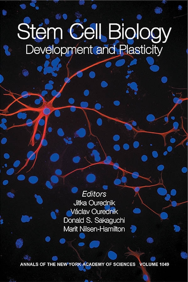 Stem Cell Biology; Development and Plasticity, Volume 1049 (Paperback / softback) 9781573315340