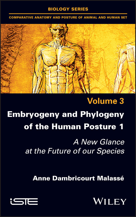 Embryogeny and Phylogeny of the Human Posture 1; A New Glance at the Future of our Species (Hardback) 9781786306067