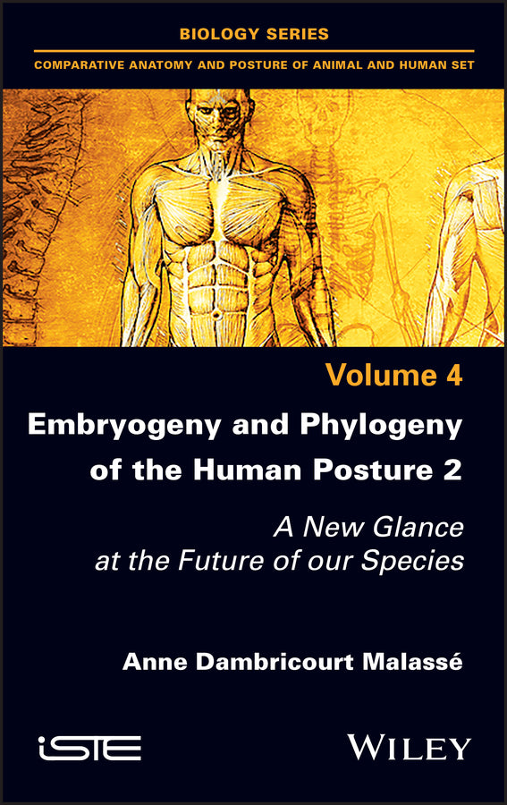 Embryogeny and Phylogeny of the Human Posture 2; A New Glance at the Future of our Species (Hardback) 9781786307293