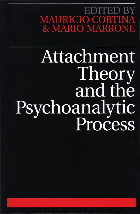 Attachment Theory and the Psychoanalytic Process (Paperback / softback) 9781861562876