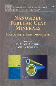 Nanosized Tubular Clay Minerals; Halloysite and Imogolite (Hardback) 9780081002933