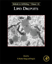 Lipid Droplets (Hardback) 9780124080515