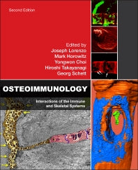 Osteoimmunology; Interactions of the Immune and Skeletal Systems (Hardback) 9780128005712
