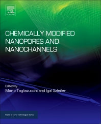 Chemically Modified Nanopores and Nanochannels (Hardback) 9780323401821