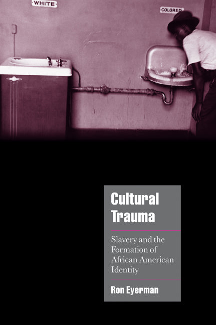 Cultural Trauma; Slavery and the Formation of African American Identity (Paperback) 9780521004374