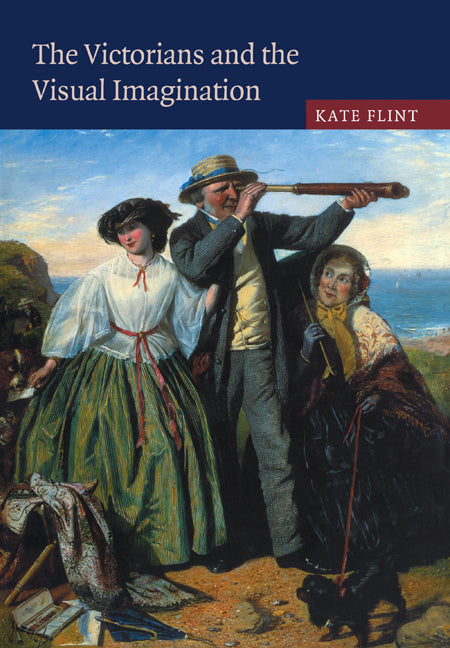 The Victorians and the Visual Imagination (Paperback / softback) 9780521089524