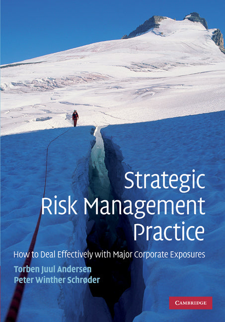 Strategic Risk Management Practice; How to Deal Effectively with Major Corporate Exposures (Hardback) 9780521114240