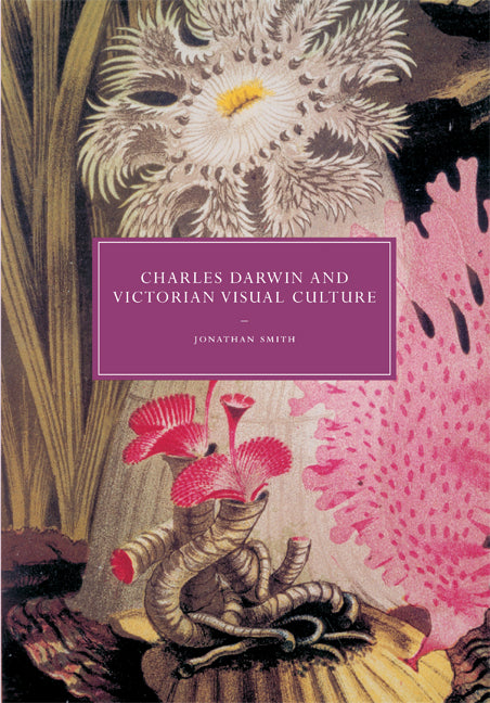 Charles Darwin and Victorian Visual Culture (Paperback) 9780521135795