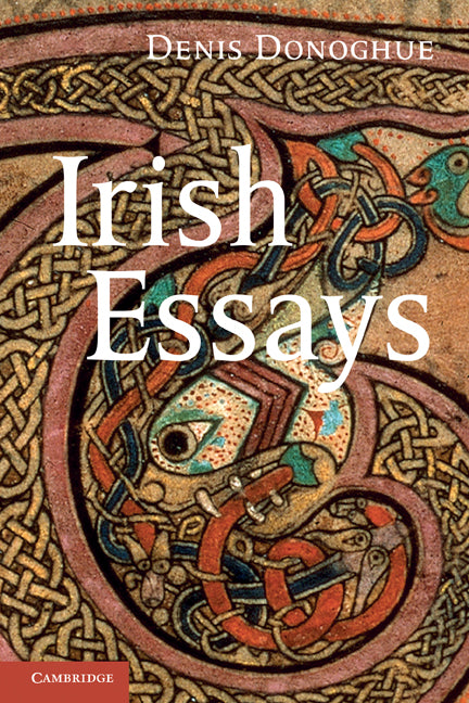 Irish Essays (Paperback) 9780521187282