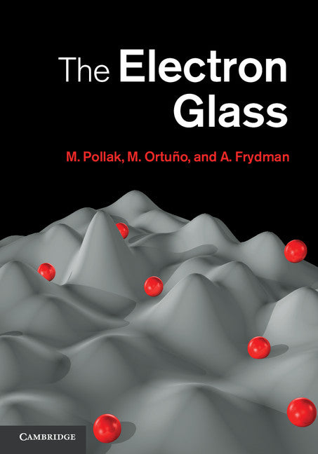 The Electron Glass (Hardback) 9780521195522
