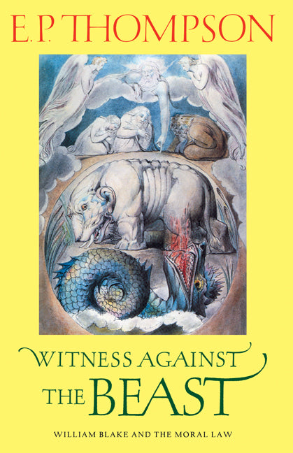 Witness against the Beast; William Blake and the Moral Law (Hardback) 9780521225151