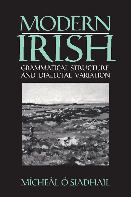 Modern Irish; Grammatical Structure and Dialectal Variation (Paperback) 9780521425193