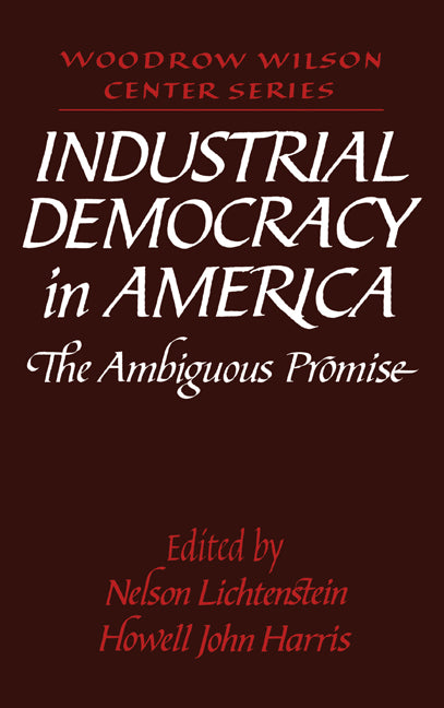 Industrial Democracy in America; The Ambiguous Promise (Hardback) 9780521431217