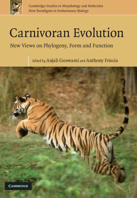Carnivoran Evolution; New Views on Phylogeny, Form and Function (Hardback) 9780521515290