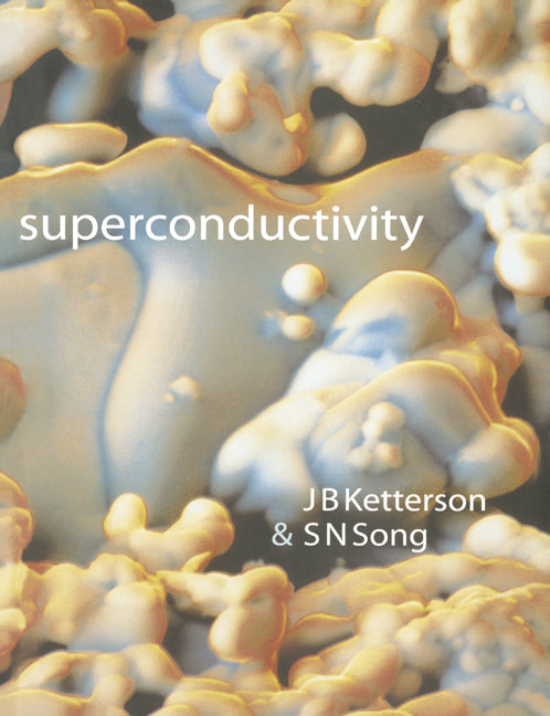 Superconductivity (Paperback) 9780521565622