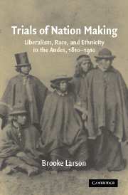 Trials of Nation Making; Liberalism, Race, and Ethnicity in the Andes, 1810–1910 (Hardback) 9780521561716