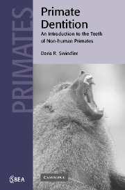 Primate Dentition; An Introduction to the Teeth of Non-human Primates (Paperback) 9780521018647