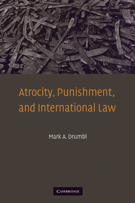 Atrocity, Punishment, and International Law (Paperback) 9780521691383