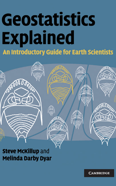 Geostatistics Explained; An Introductory Guide for Earth Scientists (Hardback) 9780521763226