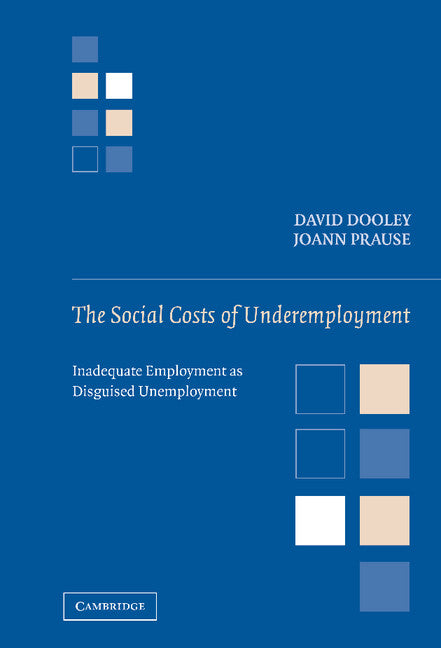 The Social Costs of Underemployment; Inadequate Employment as Disguised Unemployment (Hardback) 9780521810142