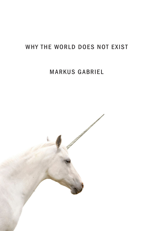 Why the World Does Not Exist (Paperback / softback) 9780745687575