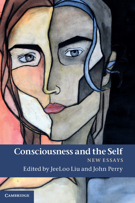 Consciousness and the Self; New Essays (Hardback) 9781107000759